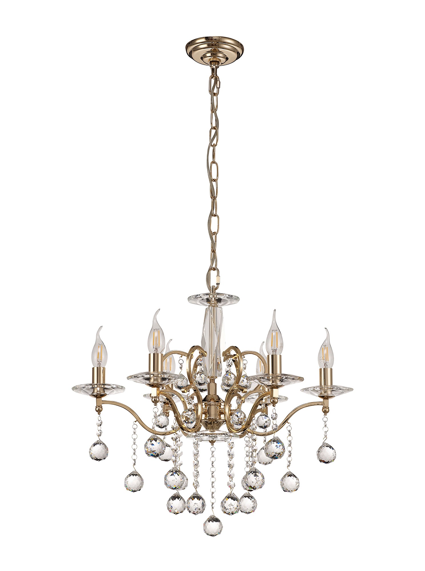 zinta_IL30226