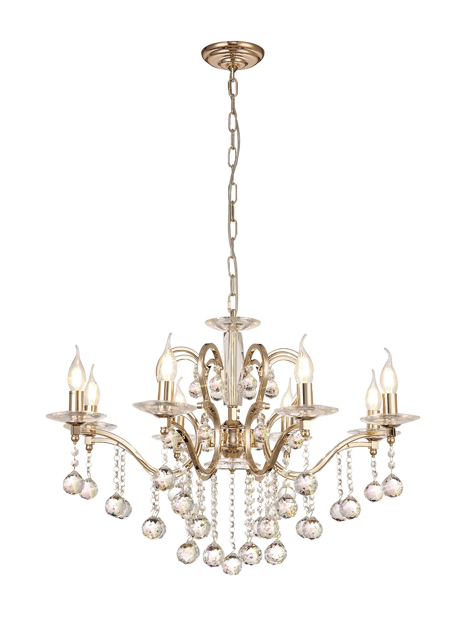 zinta_IL30228