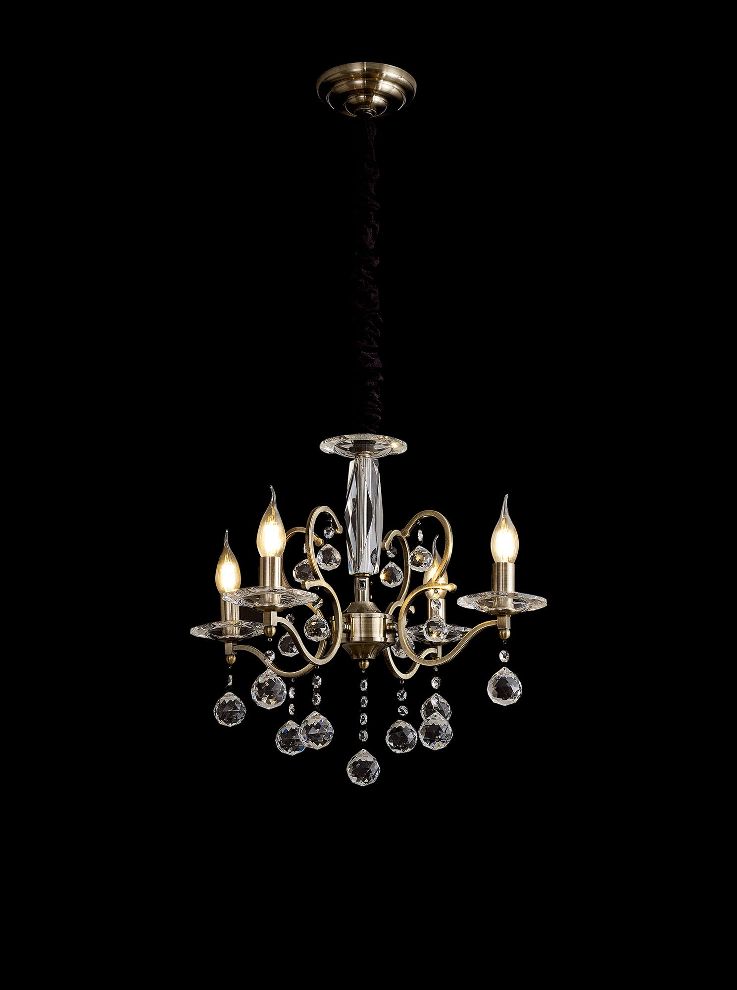 zinta_IL32124