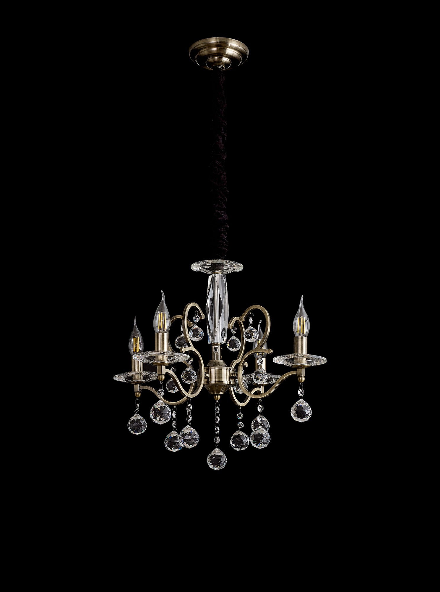 zinta_IL32124