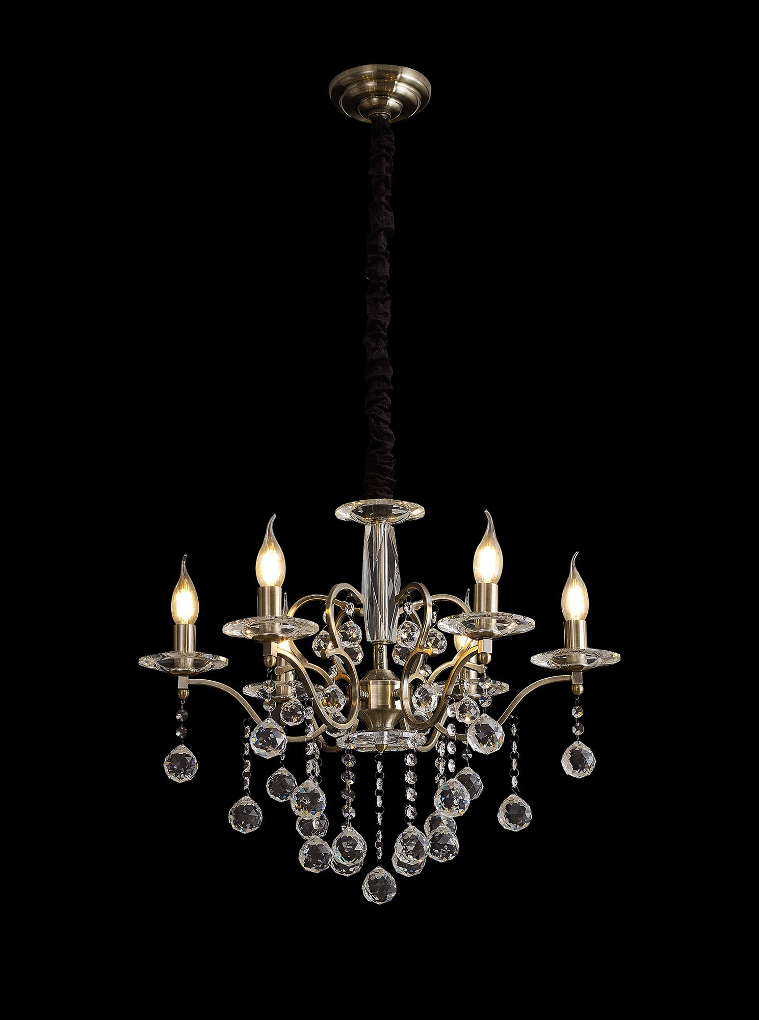 zinta_IL32126