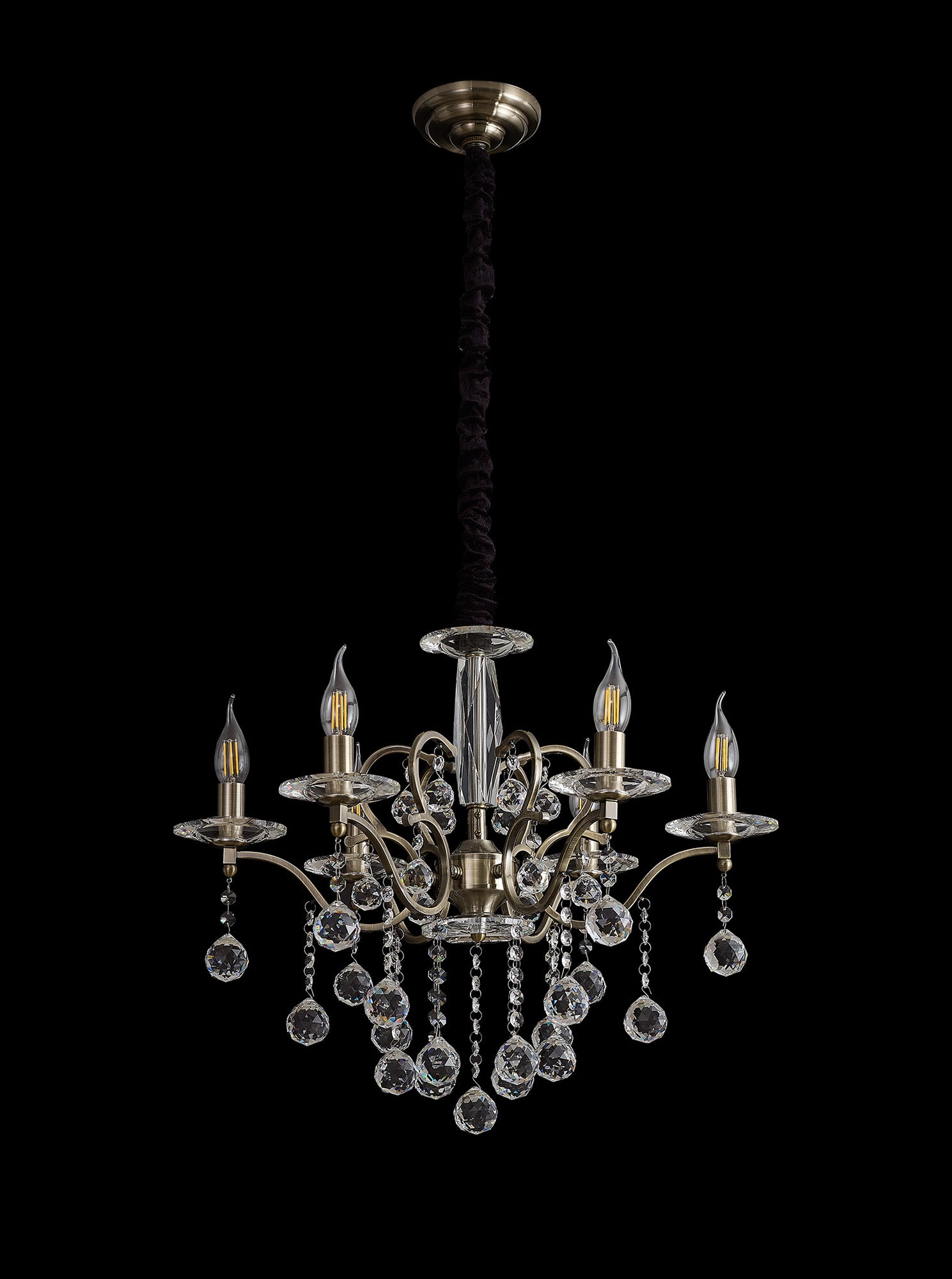 zinta_IL32126