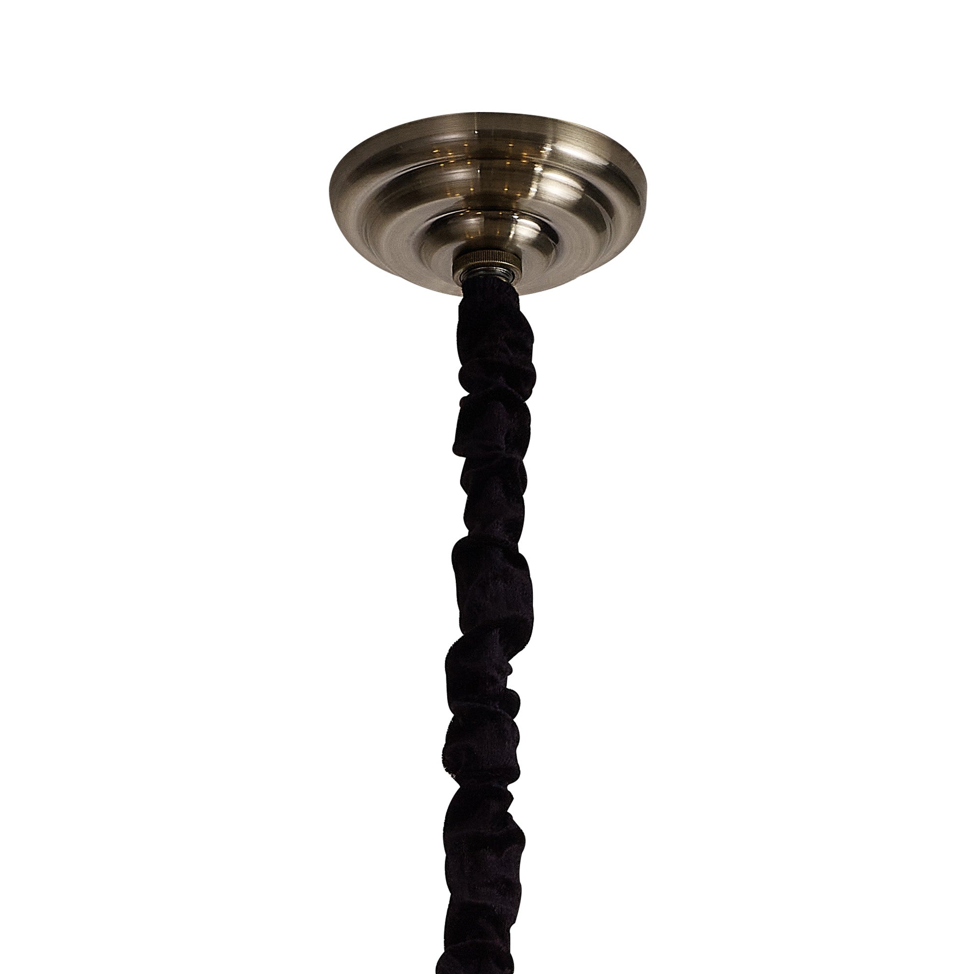 zinta_IL32126