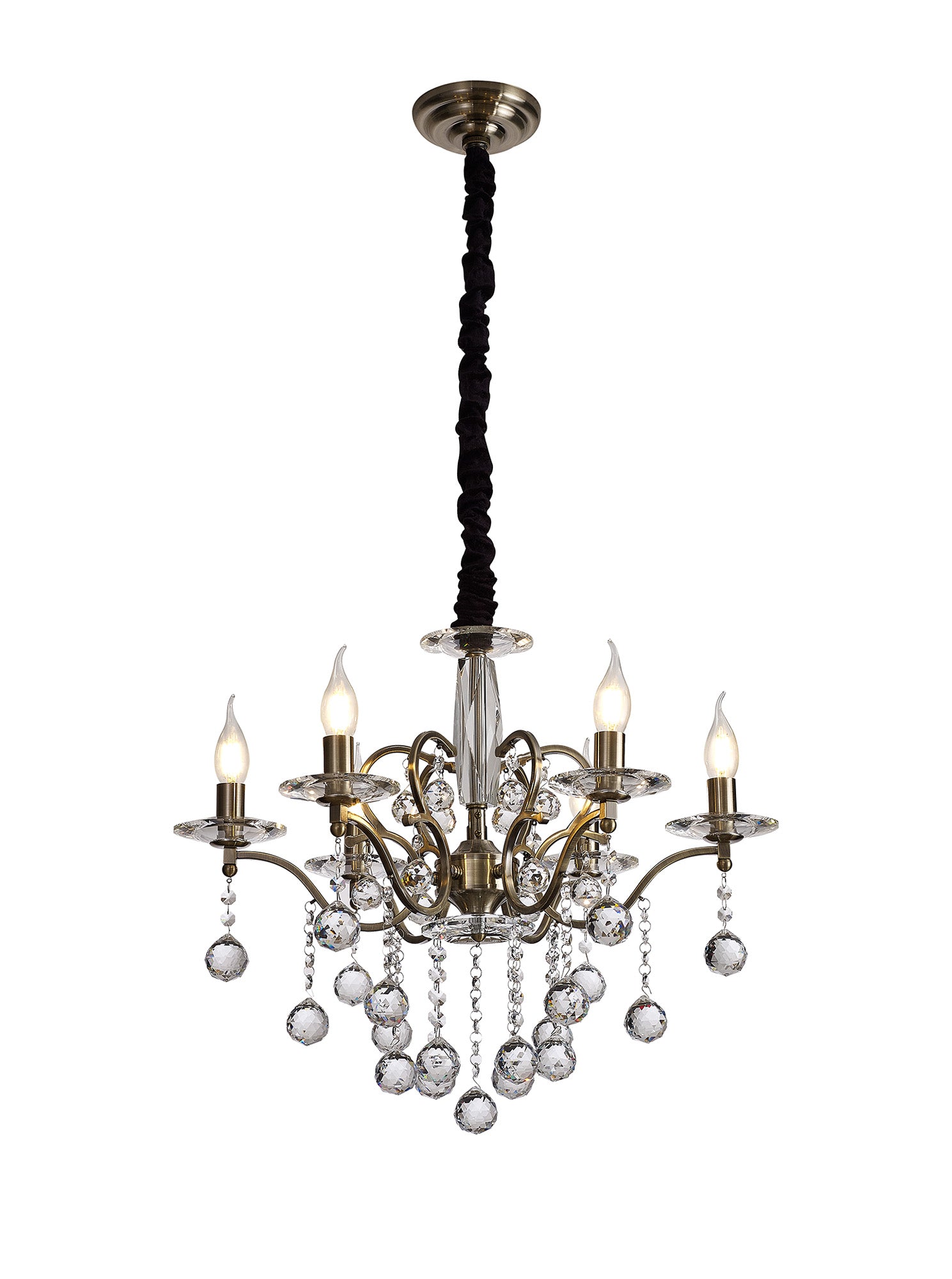 zinta_IL32126